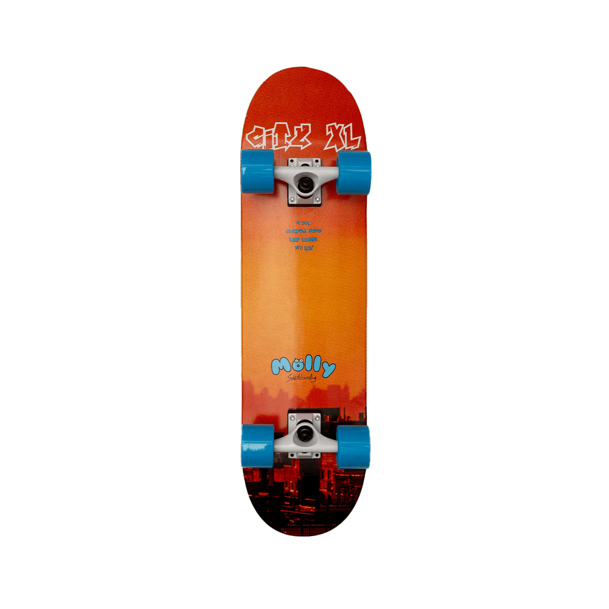 CITY SKATEBOARD / Molly