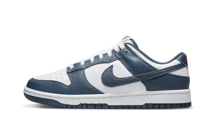 NIKE DUNK LOW VALERIAN BLUE